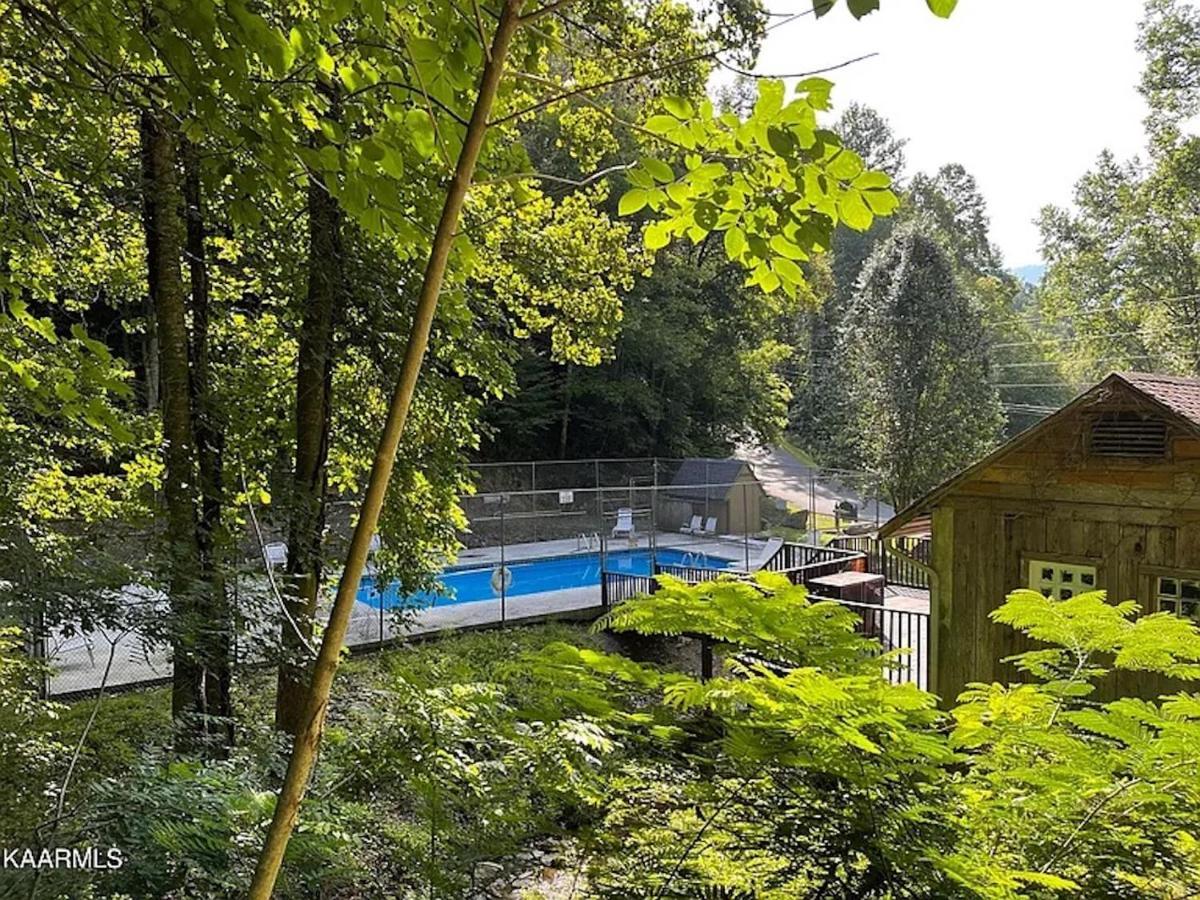 Hawks View Gatlinburg Mountain Cabin 외부 사진